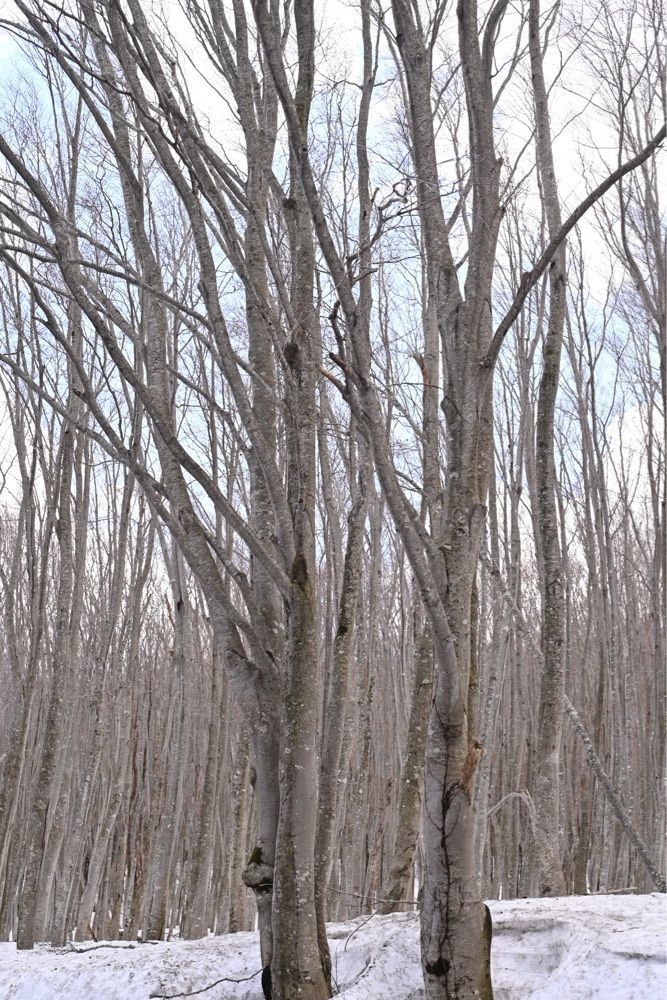佳さんが投稿した又兵衛の茶屋（またべえのちゃや）に関する口コミの画像