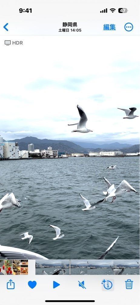 ヒロコロりんさんが投稿した駿河湾フェリーに関する口コミの画像