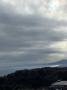 駿河湾フェリー 7枚目