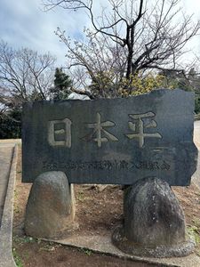 駿河湾フェリー 8枚目