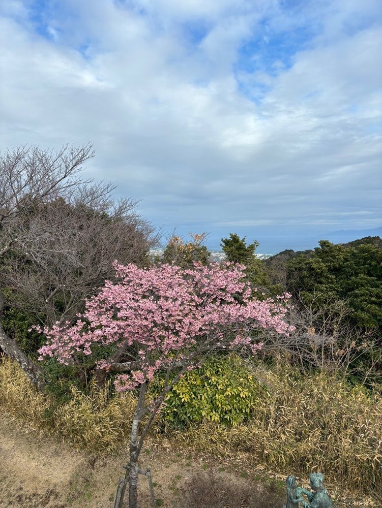 ヒロコロりんさんが投稿した駿河湾フェリーに関する口コミの画像
