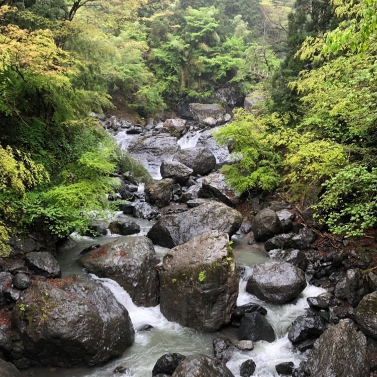 つよさんが投稿した大柳川渓谷に関する口コミの画像
