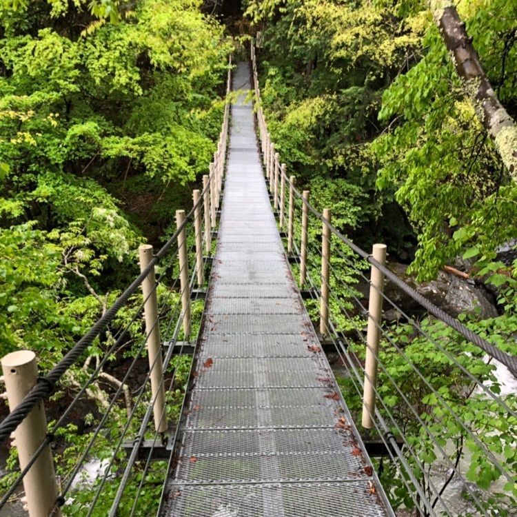 つよさんが投稿した大柳川渓谷に関する口コミの画像