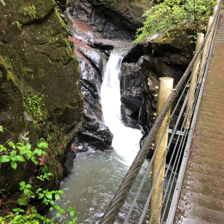 つよさんが投稿した大柳川渓谷に関する口コミの画像