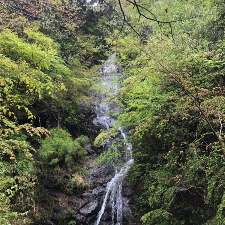 つよさんが投稿した大柳川渓谷に関する口コミの画像