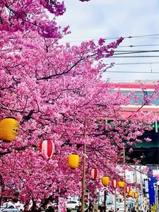 三浦海岸駅