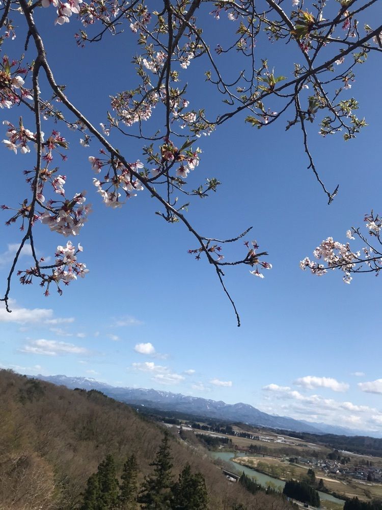 猫なぎ。さんが投稿した猿羽根山地蔵堂に関する口コミの画像