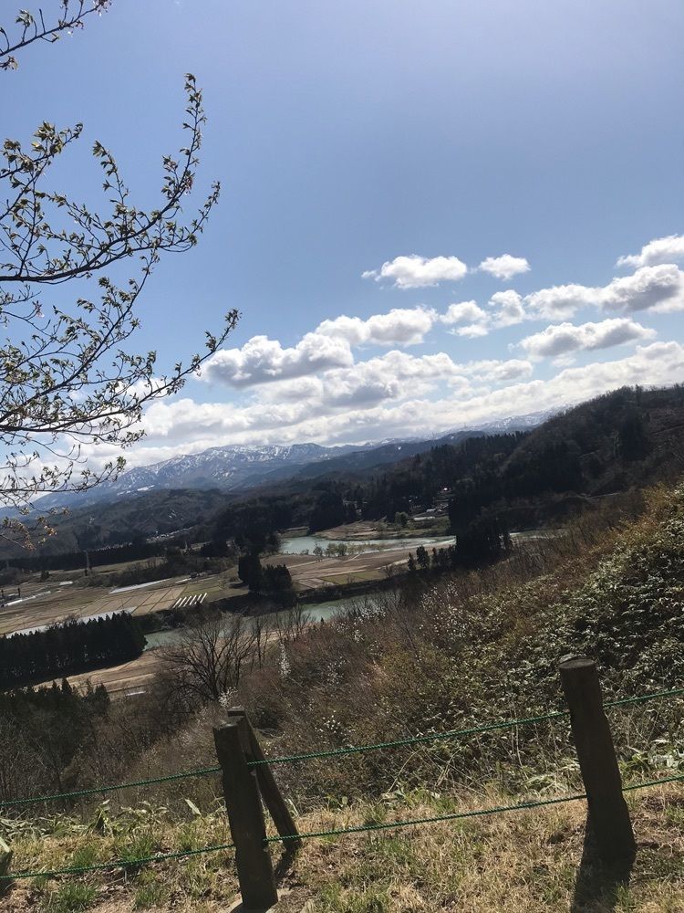 猫なぎ。さんが投稿した猿羽根山地蔵堂に関する口コミの画像