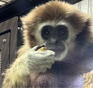 ときわ動物園