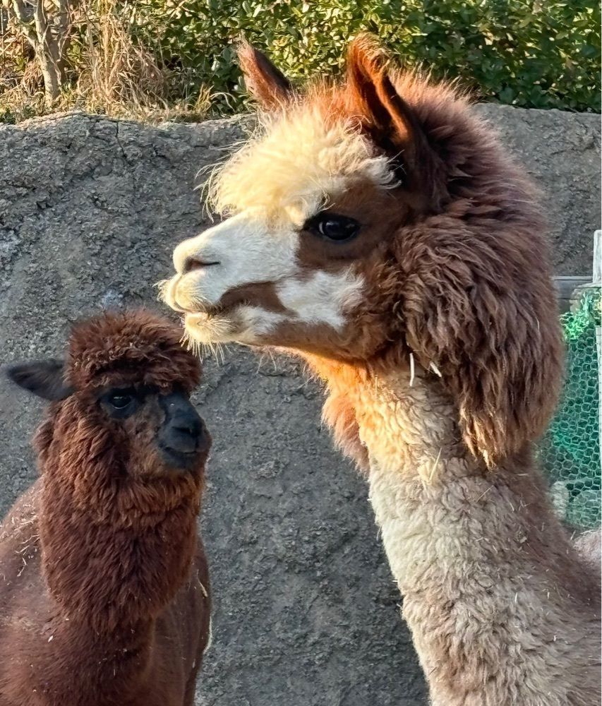 みーなさんが投稿したときわ動物園に関する口コミの画像