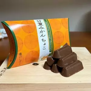 熊野市駅前特産品館