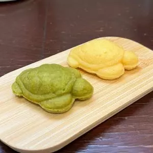 道の駅 紀宝町ウミガメ公園