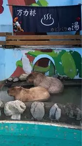 万力公園