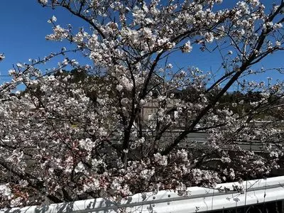 福津市総合運動公園（なまずの郷）