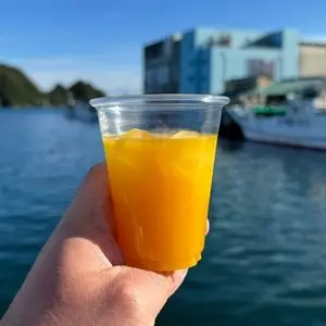 オワセ果物店