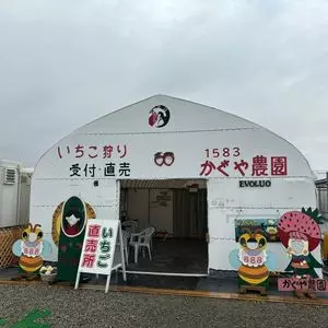 かぐや農園