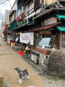 富田屋