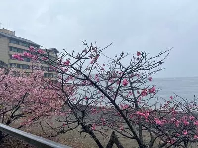 三津海水浴場