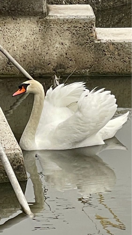 みぃさんが投稿した坂出市に関する口コミの画像