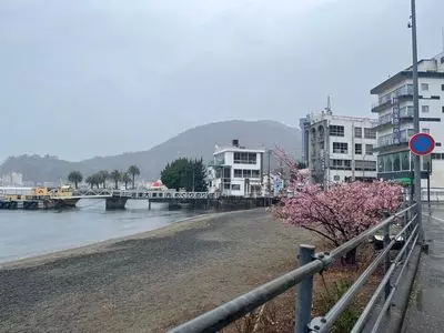 三津周遊遊覧船