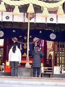 河口浅間神社の七本杉