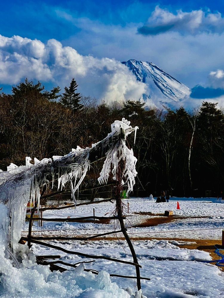 ビンカさんが投稿した西湖野鳥の森公園に関する口コミの画像