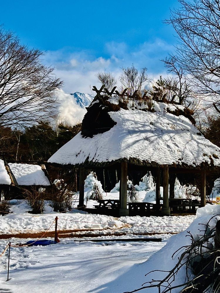 ビンカさんが投稿した西湖野鳥の森公園に関する口コミの画像
