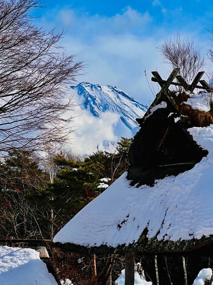 ビンカさんが投稿した西湖野鳥の森公園に関する口コミの画像