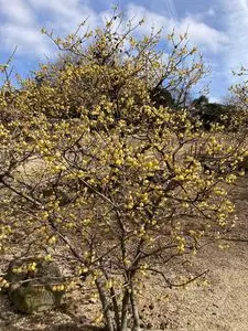 種松山公園西園地
