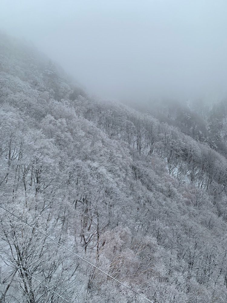 まさまさ　さまさんが投稿した天元台高原ロープウェイに関する口コミの画像