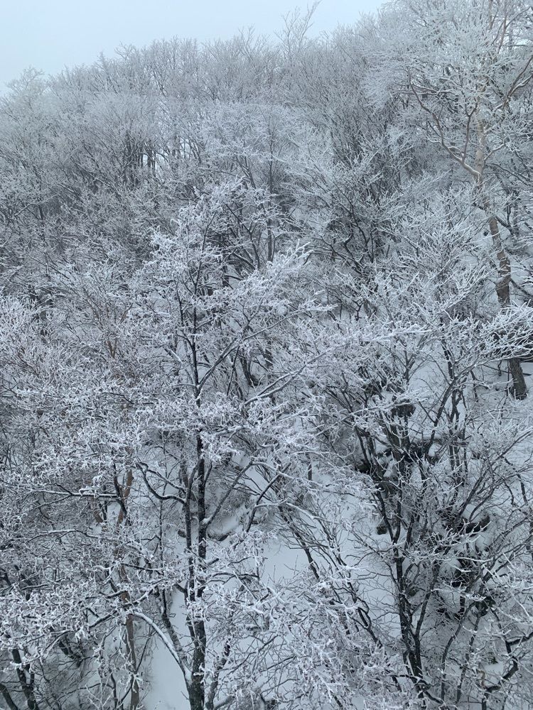 まさまさ　さまさんが投稿した天元台高原ロープウェイに関する口コミの画像