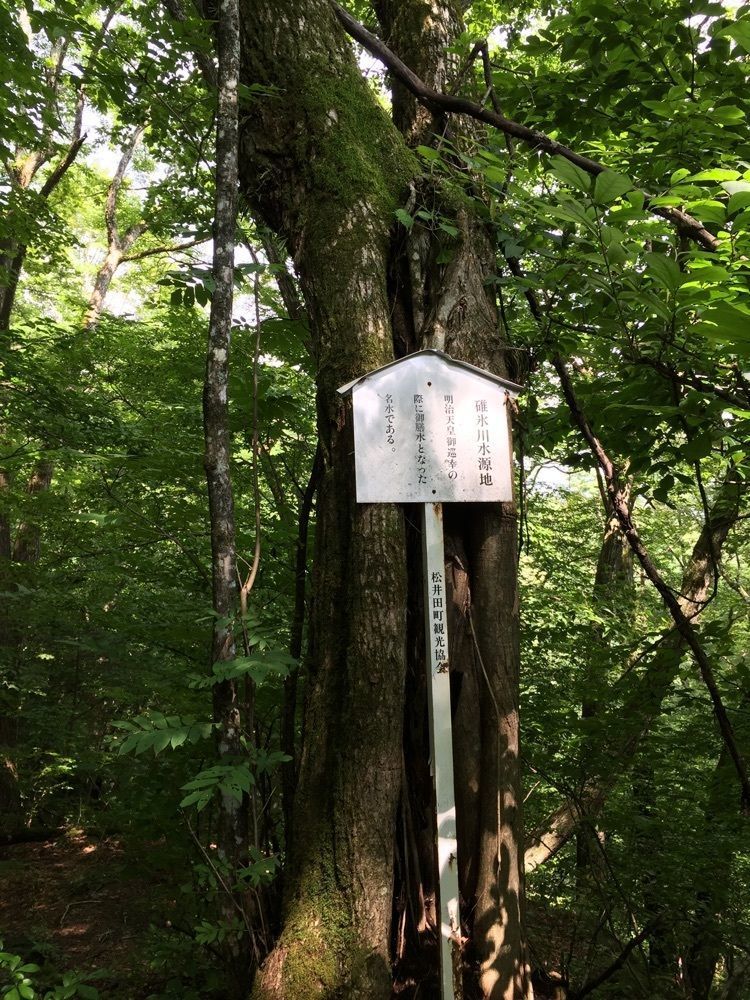 nostalgic_hiking_bca8さんが投稿した熊野神社に関する口コミの画像