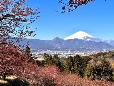 大井町農業体験施設四季の里