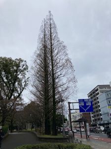 原爆落下中心地碑 3枚目