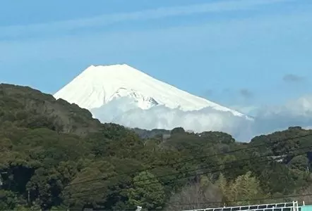 ティーラウンジ季節風