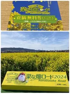 菜な畑ロード