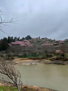 佐久間ダム公園