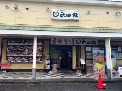 武田丸（たけだまる）