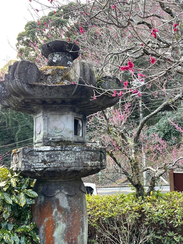ビンカさんが投稿した澤田政廣記念美術館に関する口コミの画像