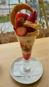 ホシ フルーツ（Hoshi Fruits）