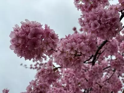 国民宿舎 大城（おおじょう）