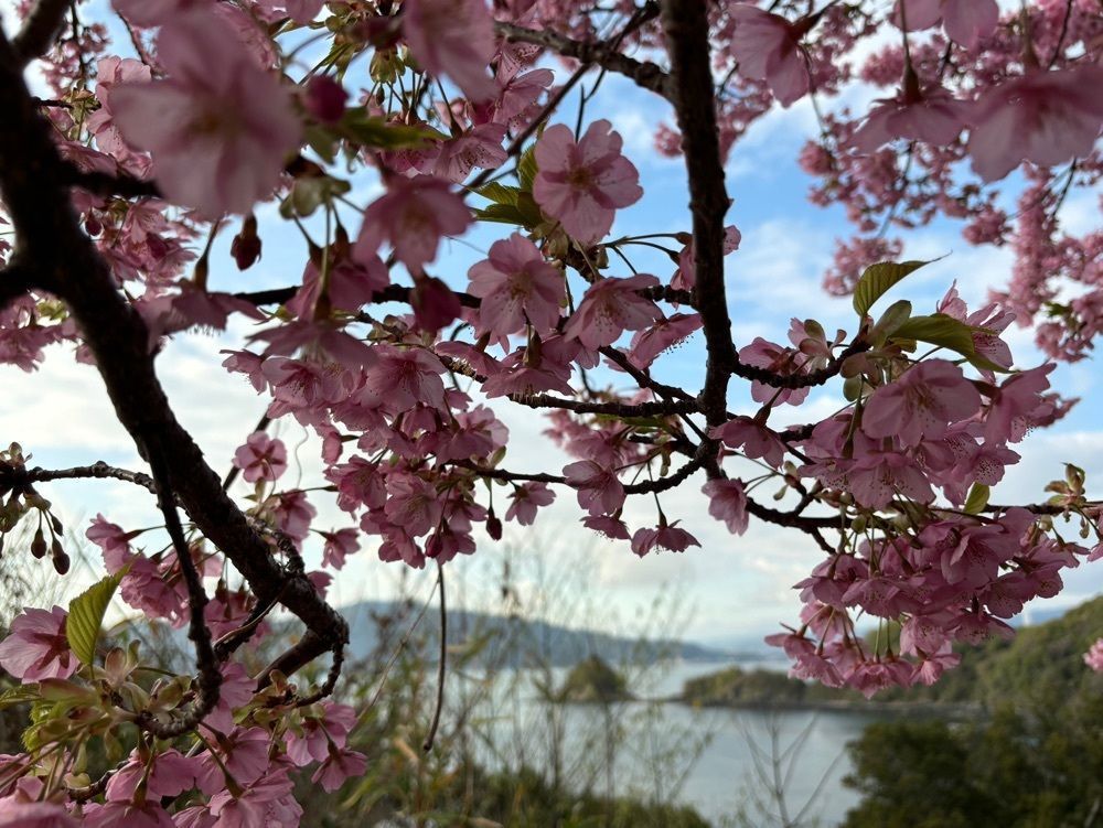 みーなさんが投稿した国民宿舎 大城（おおじょう）に関する口コミの画像