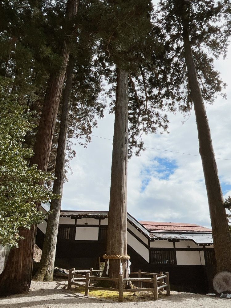 Yukiさんが投稿した気多若宮神社に関する口コミの画像