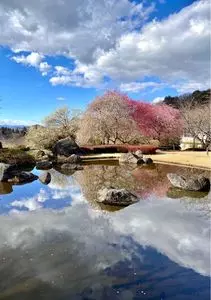 万葉庭園