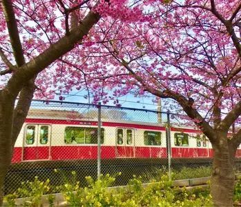 三浦海岸駅