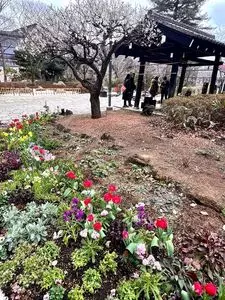 読売ジャイアンツ球場