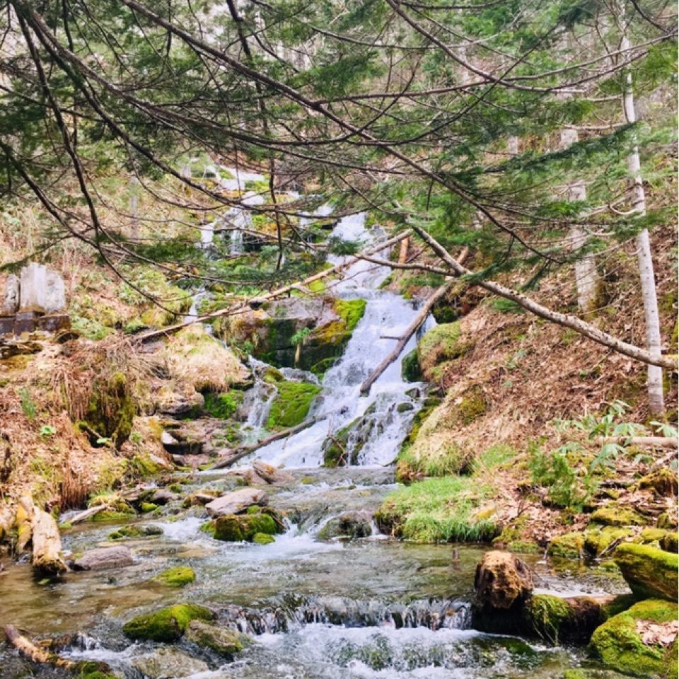 yoshiさんが投稿した不動の滝（北海道美瑛町）に関する口コミの画像