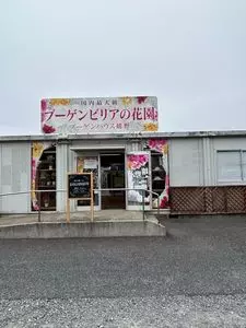 ブーゲンハウス嬉野