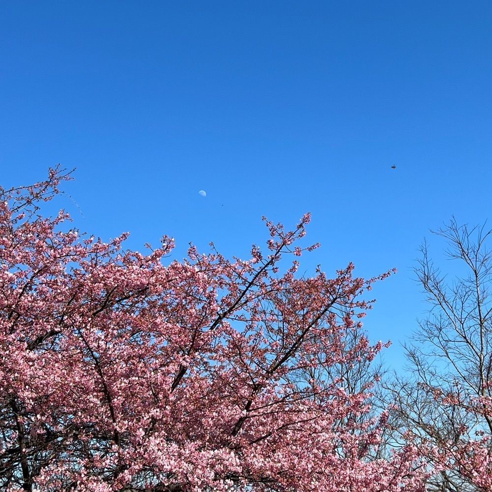 ❤︎みなこ❤︎さんが投稿した大角海浜公園に関する口コミの画像