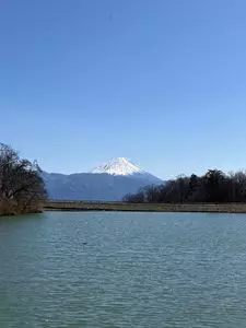 梅の里（山梨県甲斐市）